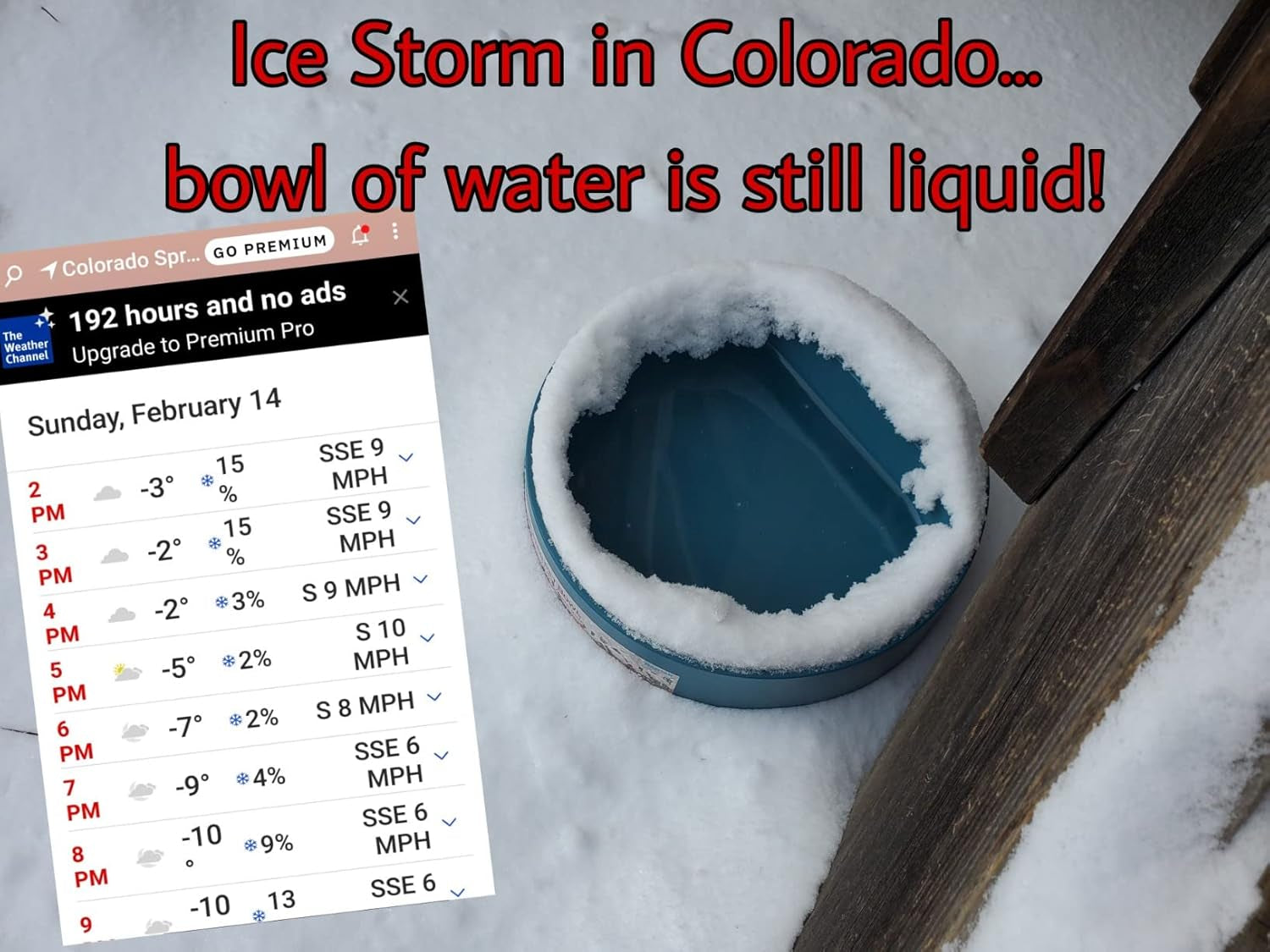 Heated Water Bowl for Cats Outdoor, 2.2L, Heated Pet Bowls for Chickens Rabbits Farm Animals, Heating Dog Bowl Ice Free in Winter, Thermal-Bowls Warm Water Bird Bath Dish, Green