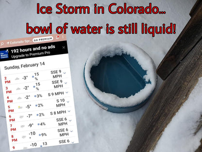 Heated Water Bowl for Cats Outdoor, 2.2L, Heated Pet Bowls for Chickens Rabbits Farm Animals, Heating Dog Bowl Ice Free in Winter, Thermal-Bowls Warm Water Bird Bath Dish, Green