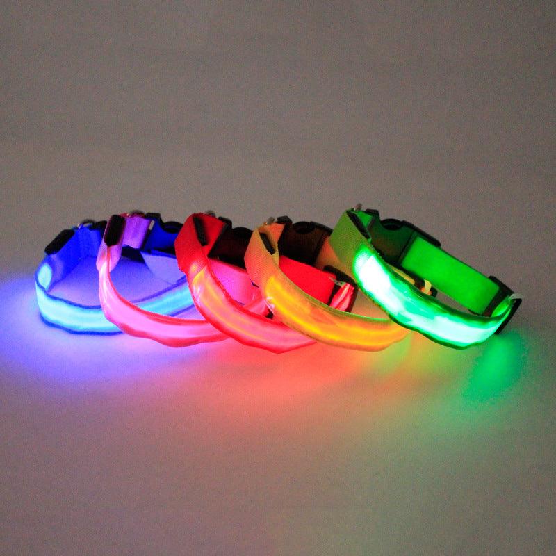 Vibrant Nylon Dog Collar - Available In Multiple Colors And Sizes-3