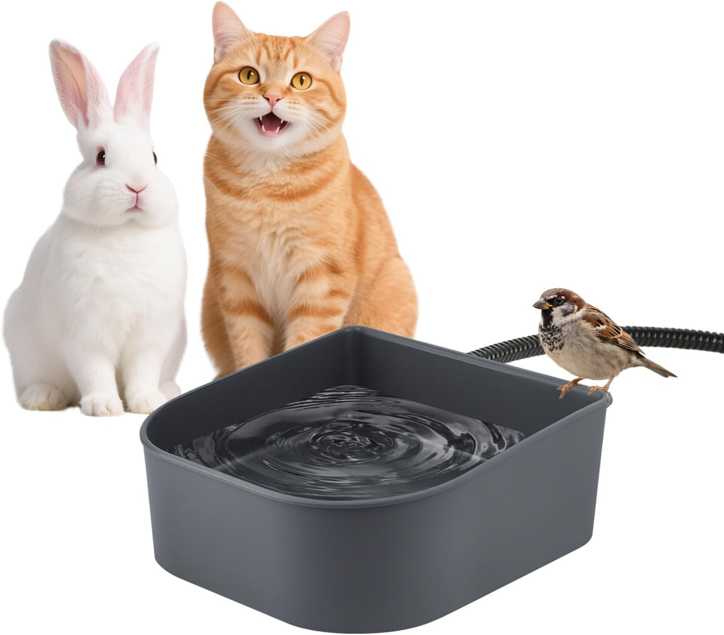 Heated Water Bowl for Cats Outdoor, 2.2L, Heated Pet Bowls for Chickens Rabbits Farm Animals, Heating Dog Bowl Ice Free in Winter, Thermal-Bowls Warm Water Bird Bath Dish, Green