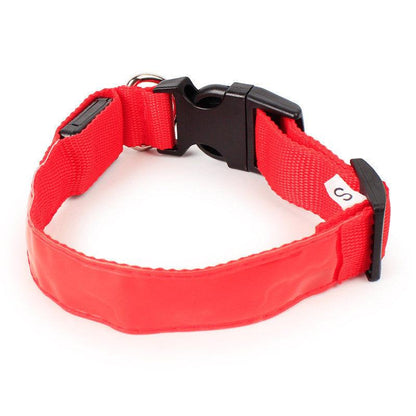 Vibrant Nylon Dog Collar - Available In Multiple Colors And Sizes-5