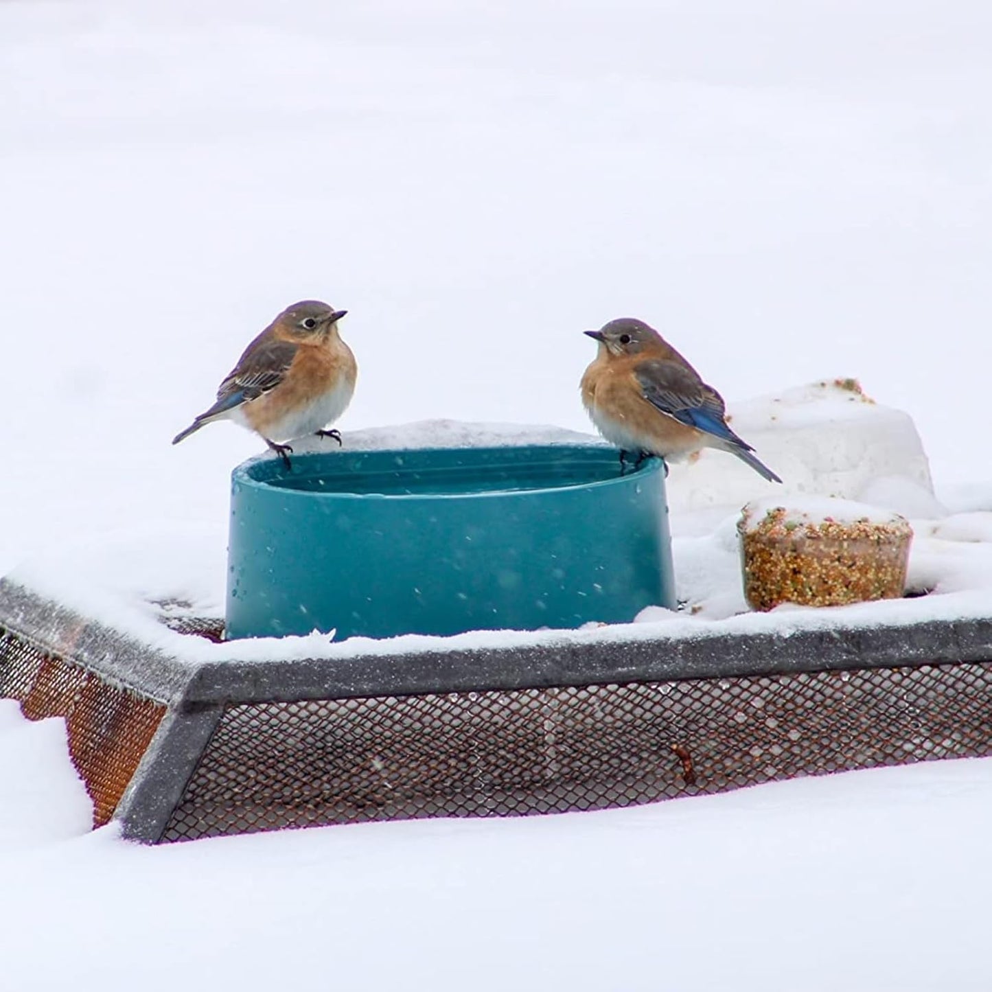 Heated Water Bowl for Cats Outdoor, 2.2L, Heated Pet Bowls for Chickens Rabbits Farm Animals, Heating Dog Bowl Ice Free in Winter, Thermal-Bowls Warm Water Bird Bath Dish, Green