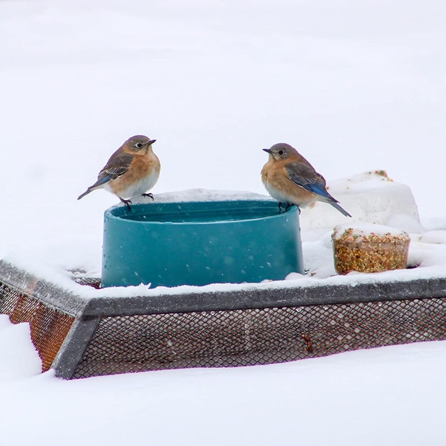Heated Water Bowl for Cats Outdoor, 2.2L, Heated Pet Bowls for Chickens Rabbits Farm Animals, Heating Dog Bowl Ice Free in Winter, Thermal-Bowls Warm Water Bird Bath Dish, Green