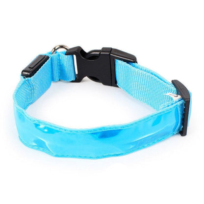 Vibrant Nylon Dog Collar - Available In Multiple Colors And Sizes-1