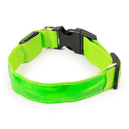 Vibrant Nylon Dog Collar - Available In Multiple Colors And Sizes-6