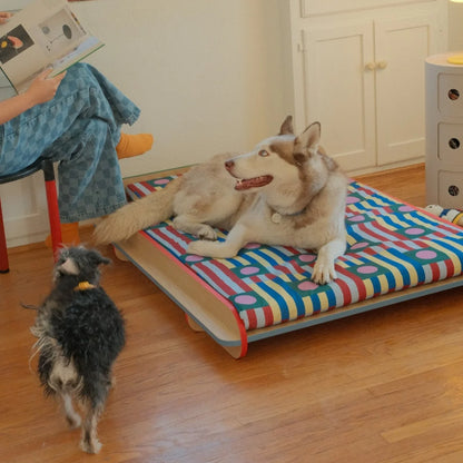 The Leo Bed – Modern Elevated Dog & Cat Bed