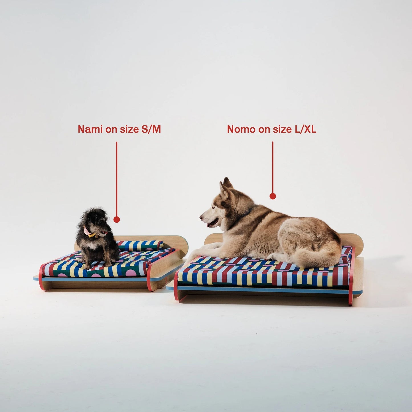 The Leo Bed – Modern Elevated Dog & Cat Bed