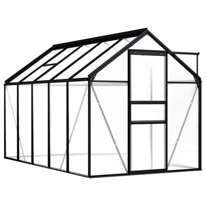 Spacious Walk-In Greenhouse