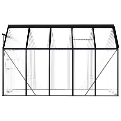 Spacious Walk-In Greenhouse