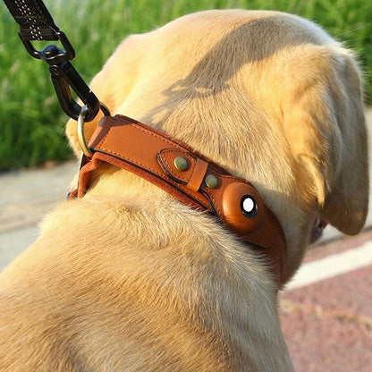 Premium Leather Dog Collar With Location Tracking-0