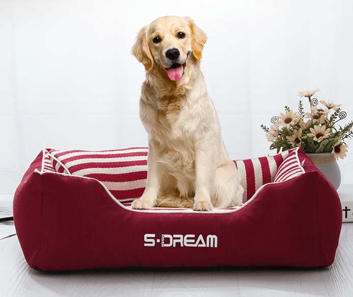 Luxury Washable Pet Bed: Comfort And Style Combined-2
