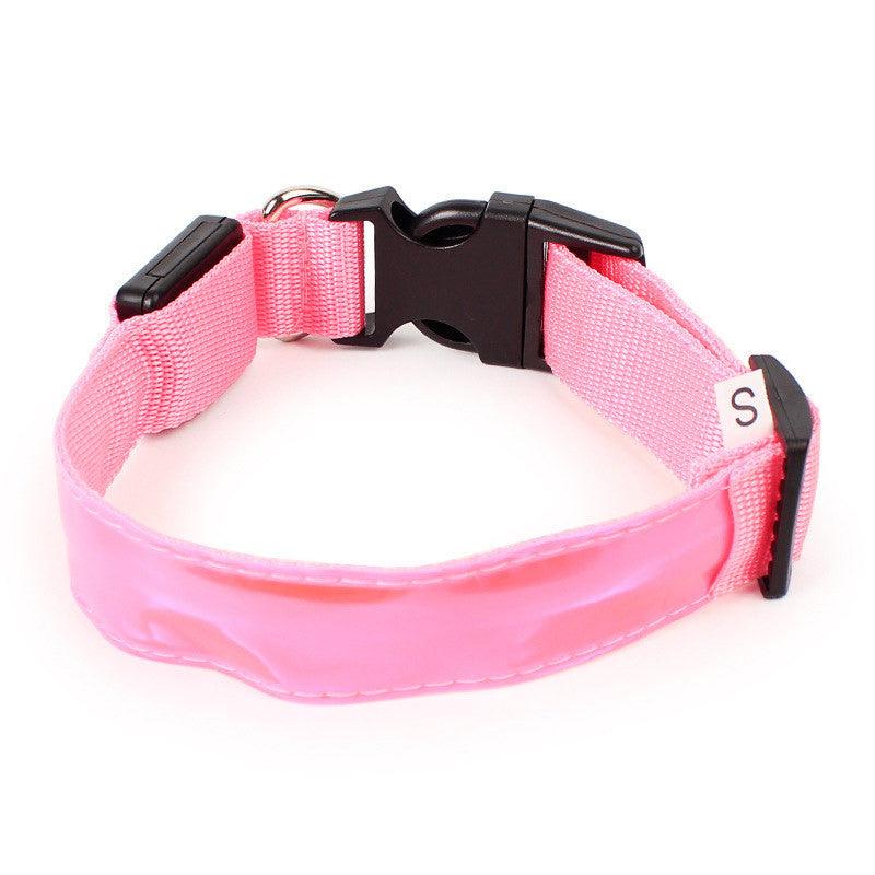 Vibrant Nylon Dog Collar - Available In Multiple Colors And Sizes-2