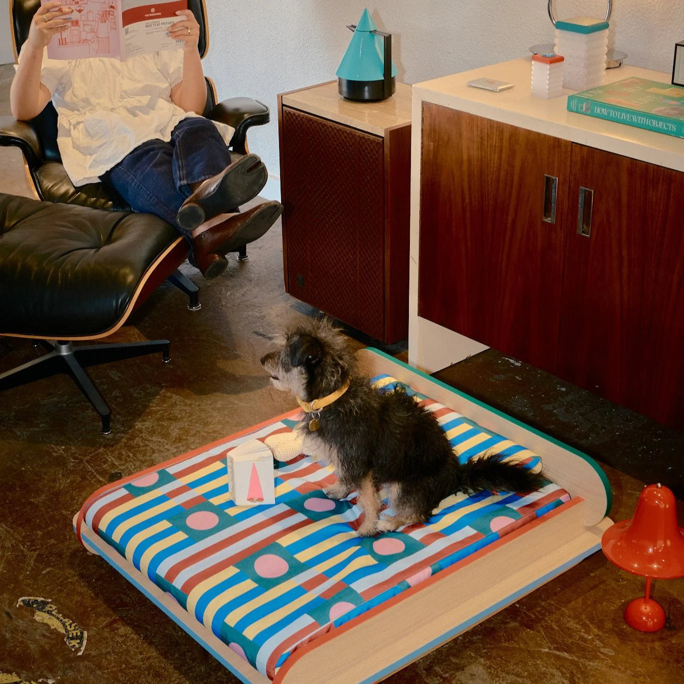 The Leo Bed – Modern Elevated Dog & Cat Bed