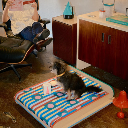 The Leo Bed – Modern Elevated Dog & Cat Bed