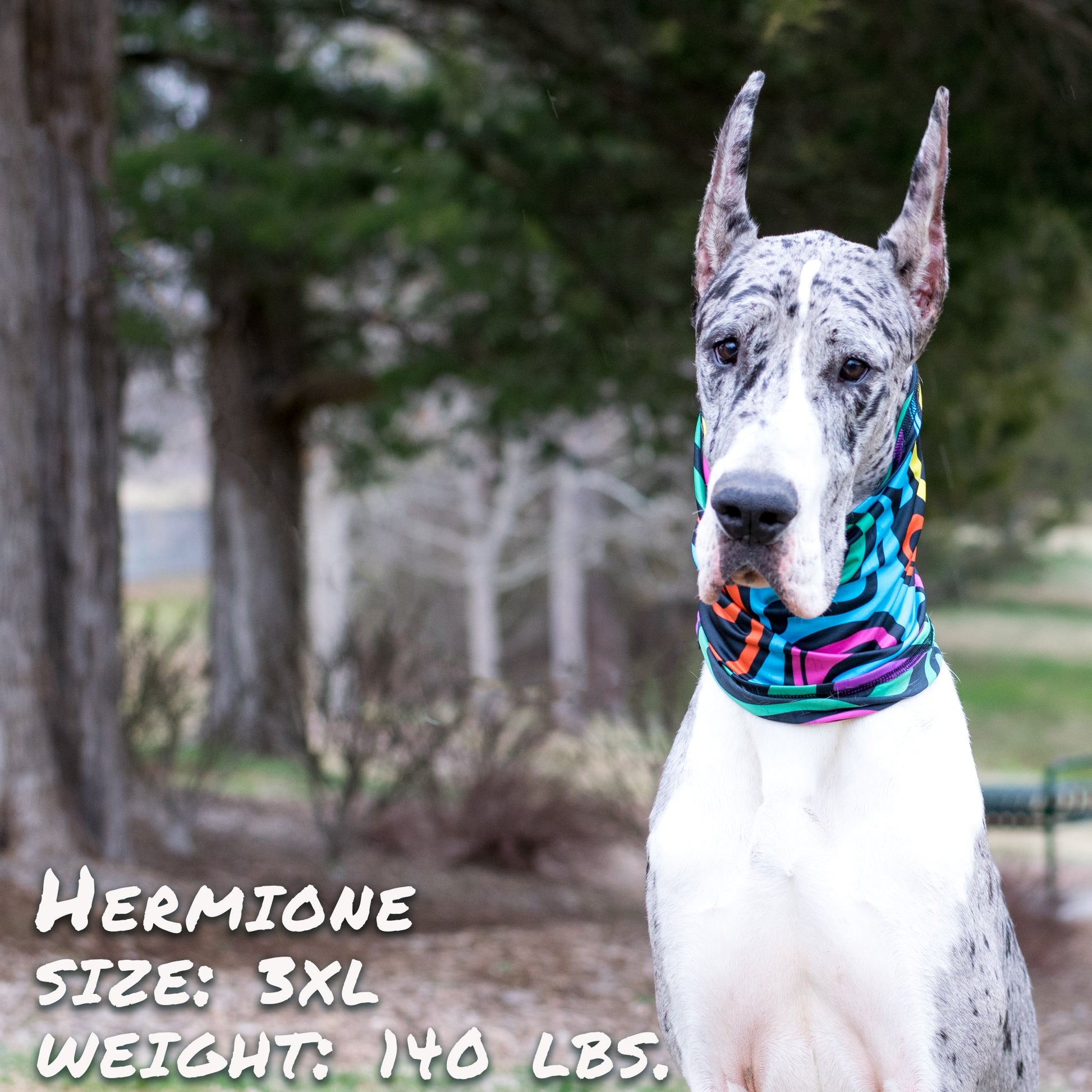 Zoomies Pup Scruff-4