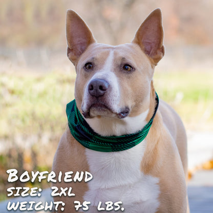 Buffalo Plaid Green Pup Scruff-2