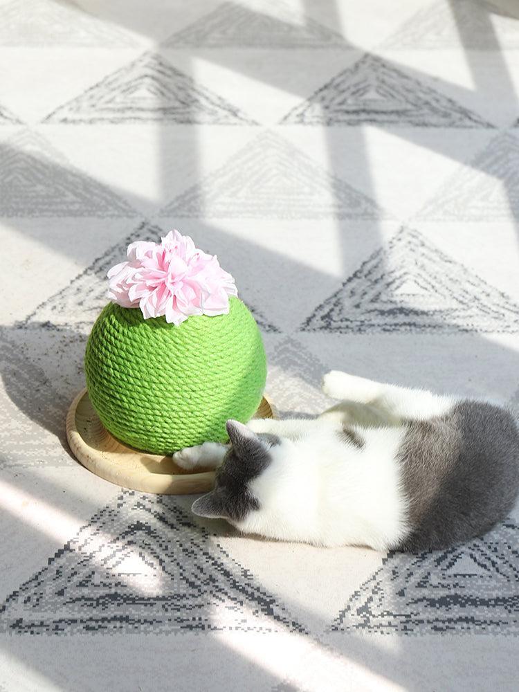 Cactus Paw-Purrfect Cat Grinding Toy-1