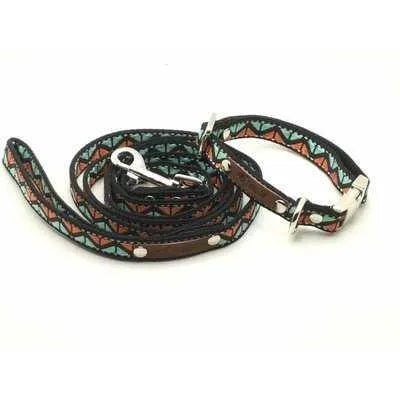 Finnigan's Whimsical Designer Dog Collar Set with Lead