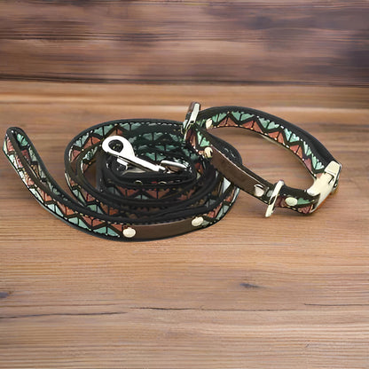 Finnigan's Whimsical Designer Dog Collar Set with Lead