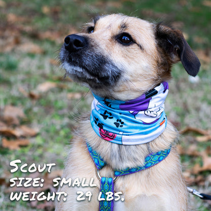 Yogadog Pup Scruff-0