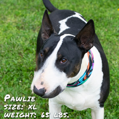 Zoomies Pup Scruff-0