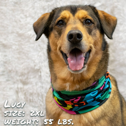 Zoomies Pup Scruff-2